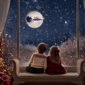 Christmas Mini Session