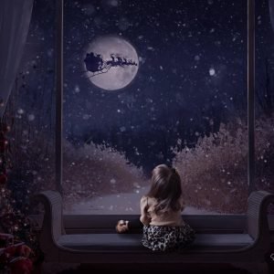 Christmas Mini Session